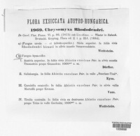 Image Associated With the Occurence